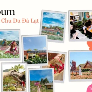 Alternative view of Tour Đà Lạt - Nha Trang 3N2Đ