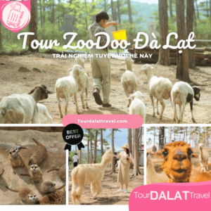 Tour Đà Lạt - Nha Trang 3N2Đ
