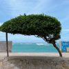 Tour trọn gói Đà Lạt - Phan Thiết - Đảo Phú Quý 3N2Đ