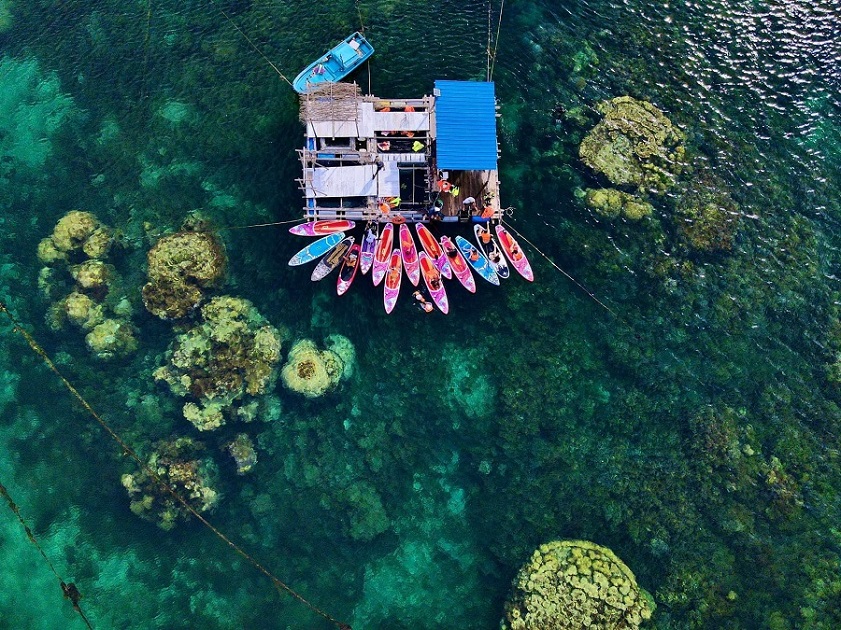 Những rạn san hô tại đảo Hòn Tranh